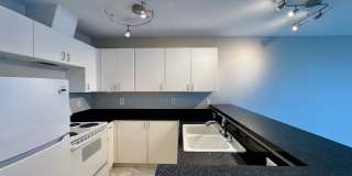 Modern Downtown Seattle Studio Gallery 3