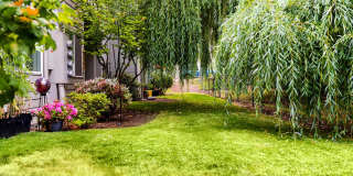 Cedar Grove Gallery 1