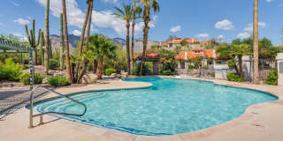 6441 N Tierra De Las Catalinas Gallery 43