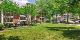 The Magnolia Apartments Gallery 42