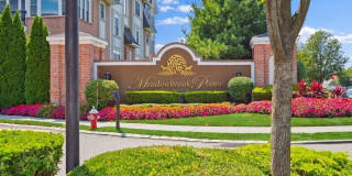 336 Trotting Lane Gallery 1