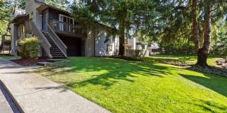 Scout apartments Gallery 42