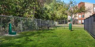 The Westside Gallery 6