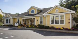 Lynnfield Commons Gallery 25