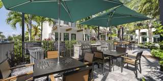 Indigo Stuart Gallery 6