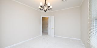 463 Prospect Avenue Gallery 20