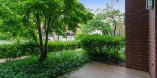 1509 South Halsted St. Gallery 2