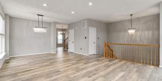 1126 HAMPTON Street Gallery 6