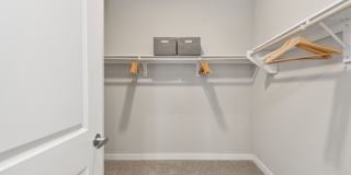 Ascend at Valverde Gallery 16