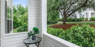 Arbor Trace Gallery 63