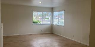 North West Pet Friendly Home Gallery 7