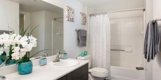 Boulevard @4201 Apartments Gallery 14