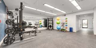 Vivo Living Charlotte Gallery 14