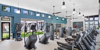 Homecoming at The Resort Apartments Gallery 51