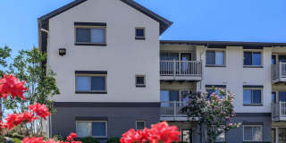 The Alante in Alexandria Gallery 1