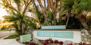 The Landing Gallery 21