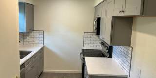 4/2 GREATYARD Move in Ready! Gallery 5