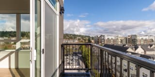 Modera River Trail Gallery 9