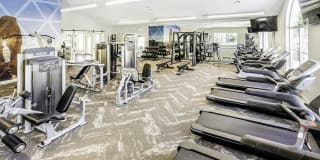 Maison's Landing Gallery 25