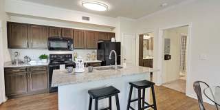 Austin City Lights Gallery 3