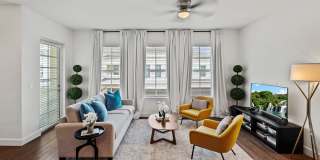 Town Treeline Gallery 24