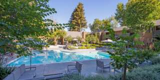 Old Orchard Apartments Gallery 28