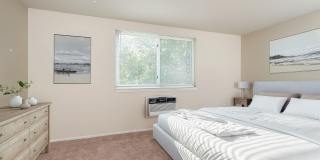 Aston Glen Aston Glen Gallery 4