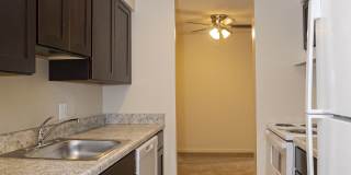 Geno Baroni Gallery 16