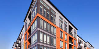 Motiva Apartments Gallery 35