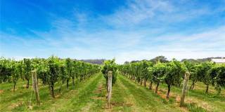 40 Stirling Cove Gallery 25