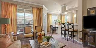 The Palms at Briarwood Gallery 1