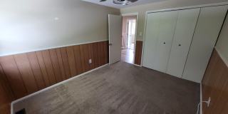 152 SEAGULL Gallery 16