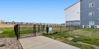 Lux North Lux North Gallery 50