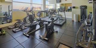 1 SHORE LANE Gallery 17