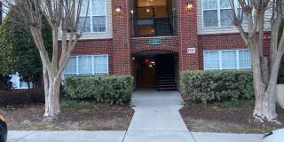 Bellingham Park Beauty Gallery 1