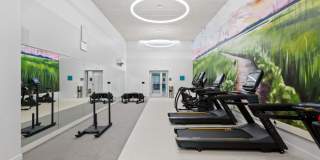 Center & Stone Gallery 19