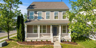 23259 WINDFLOWER Gallery 1