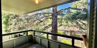 Beautiful 2 bed, 2 bath Shoreline Condo, $2400/mo. Beautiful 2 bed, 2 bath Shoreline Condo, $2400/mo. Gallery 14