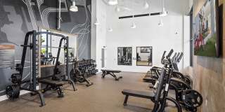 Vivo on Harbor Gallery 26