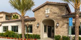 Altura at the Groves Gallery 5