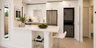 1119 West Las Olas Boulevard Gallery 1