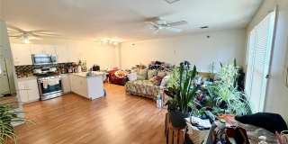 336 Bloomfield Gallery 1