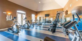 The JaXon Gallery 12