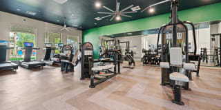 Bella Mirage Gallery 14