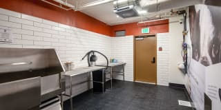 Azara Gallery 7