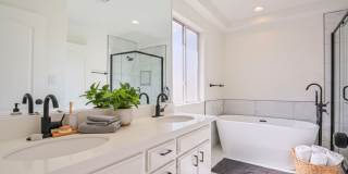 Fully Renovated 4 Bed/3.5Bath Home with Garage + Private Yard Gallery 6