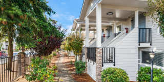 Terra Verde Gallery 23