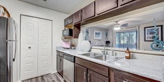 St. Johns Forest Gallery 2