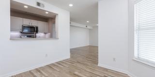 206 16th Street Gallery 6