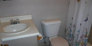 Older Studio Gallery 7
